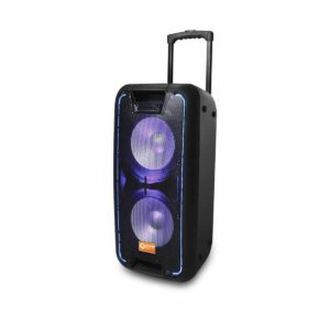 BOCINA PORTATIL  QDJ210WP